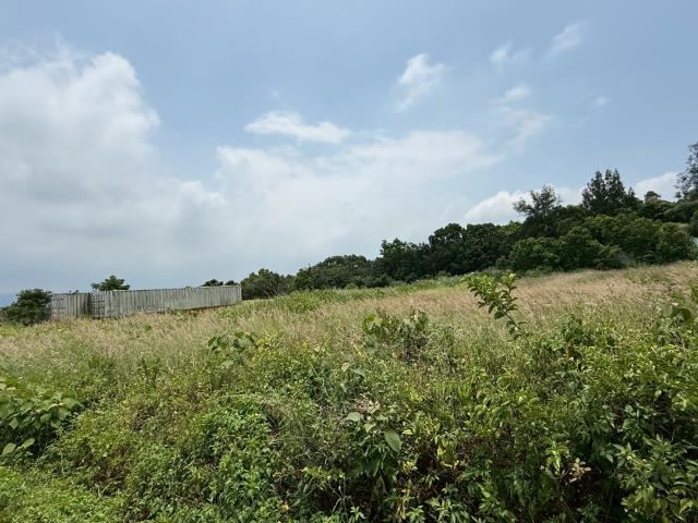 苗栗建地-10