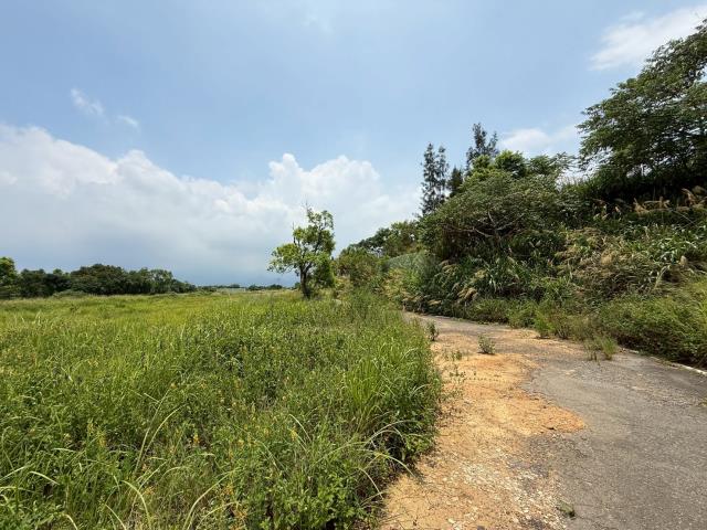 苗栗建地-11