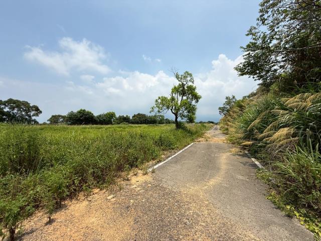 苗栗建地-12