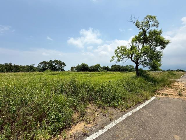 苗栗建地-13