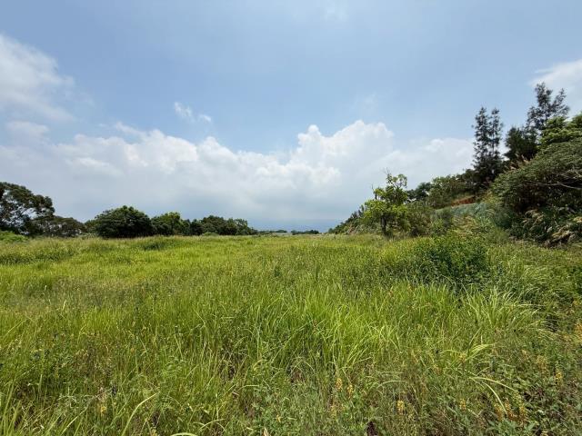 苗栗建地-9