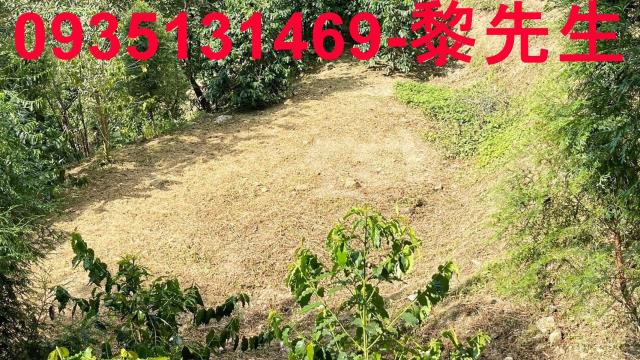 新竹林地-12