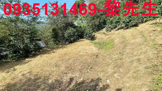 新竹林地-14