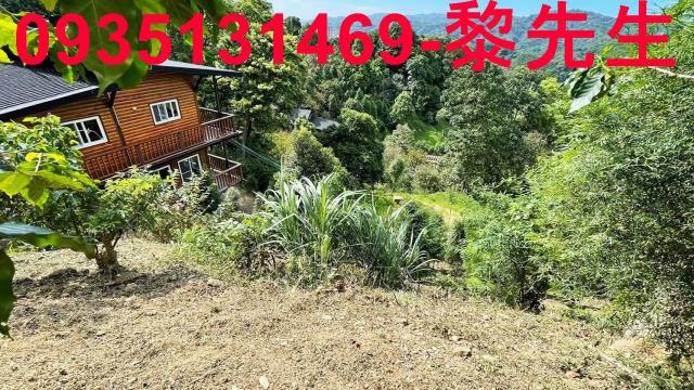 新竹林地-2