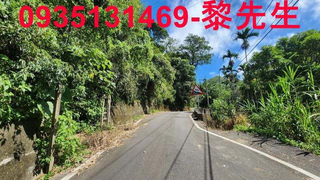 新竹林地-2