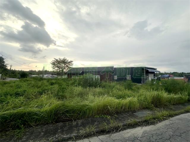 高雄大寮農地-12