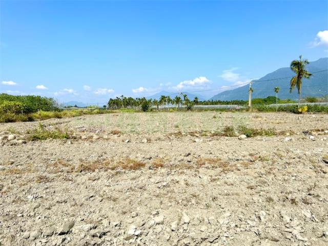 屏東高樹農地-3