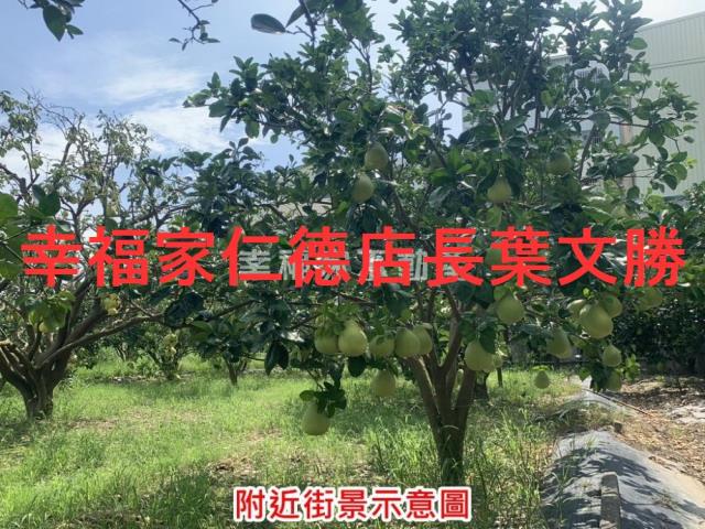 台南麻豆農地-1