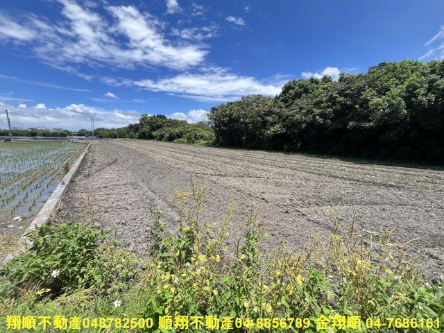 彰化北斗農地-4