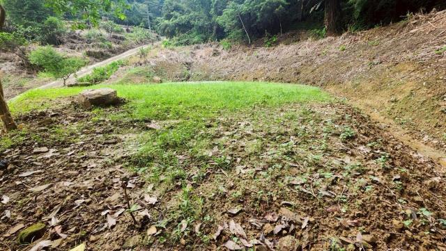 新竹竹東農地-4