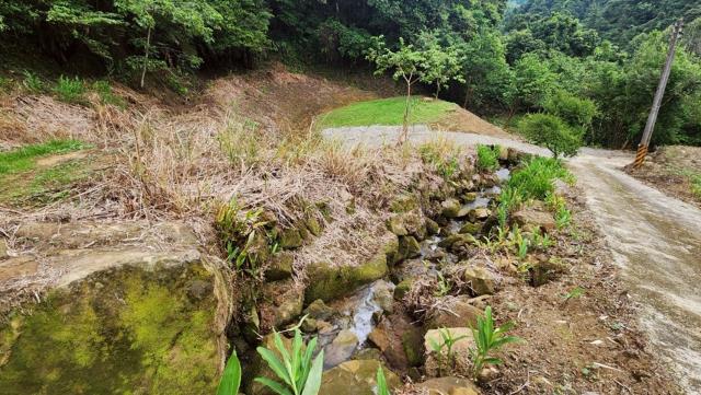 新竹竹東農地-9