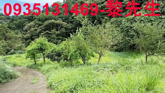 苗栗南庄農地-12