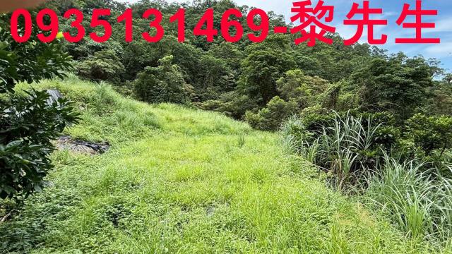 苗栗南庄農地-13
