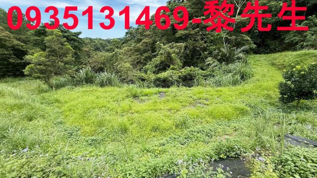 苗栗南庄農地-14