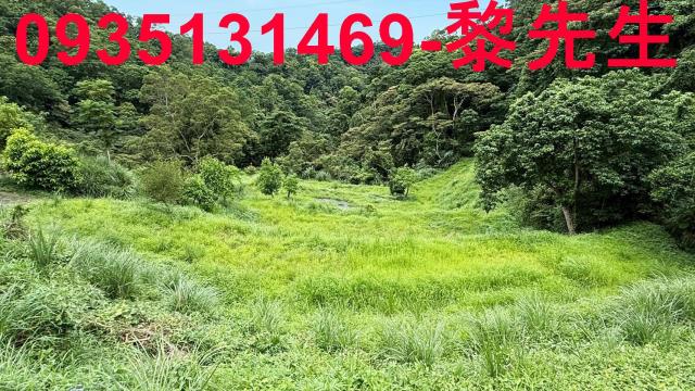 苗栗南庄農地-5