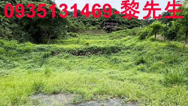 苗栗南庄農地-6