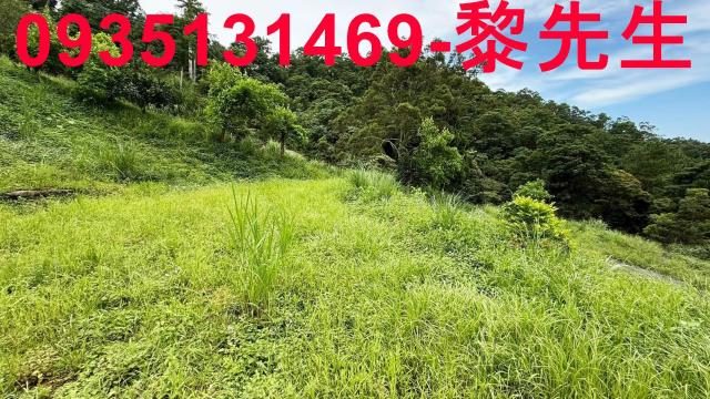 苗栗南庄農地-7