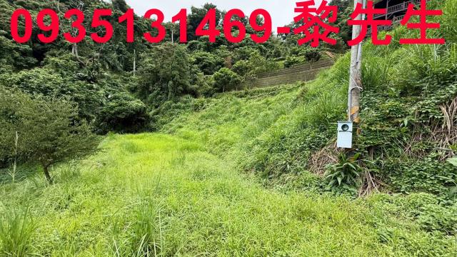 苗栗南庄農地-8
