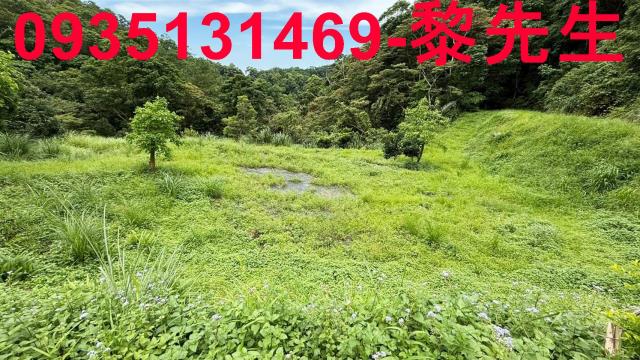 苗栗南庄農地-9