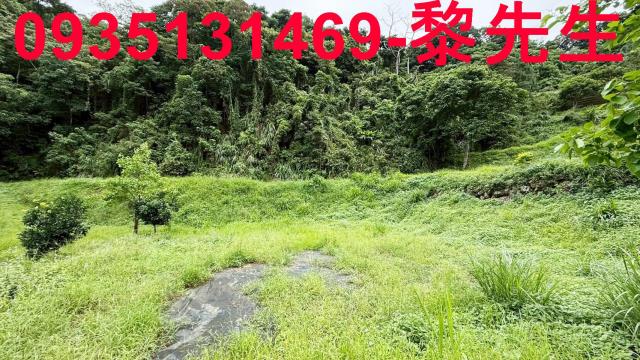 苗栗南庄農地-10