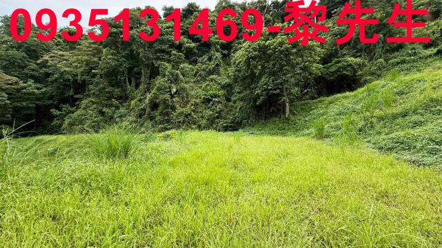 苗栗南庄農地-14