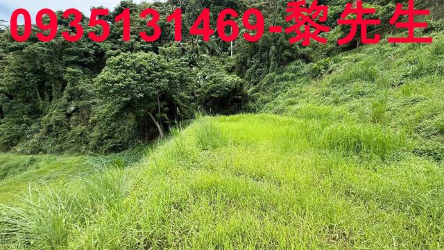 苗栗南庄農地-15