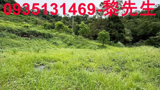 苗栗南庄農地-5