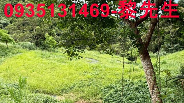 苗栗南庄農地-6