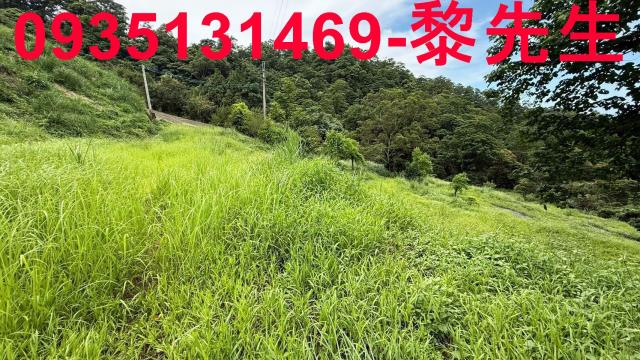苗栗南庄農地-8
