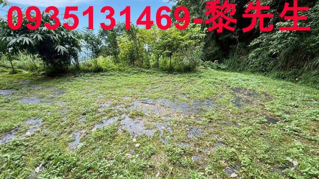 苗栗南庄林地-13