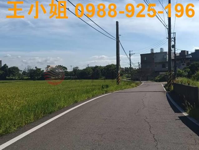 桃園大園農地-1