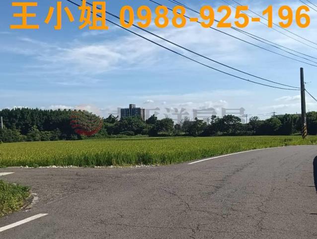 桃園大園農地-2
