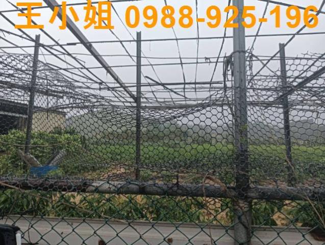 桃園龍潭農地-2