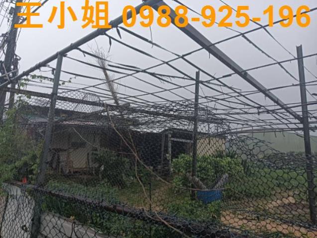 桃園龍潭農地-3