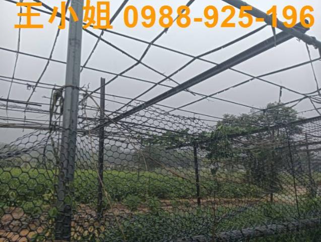 桃園龍潭農地-4