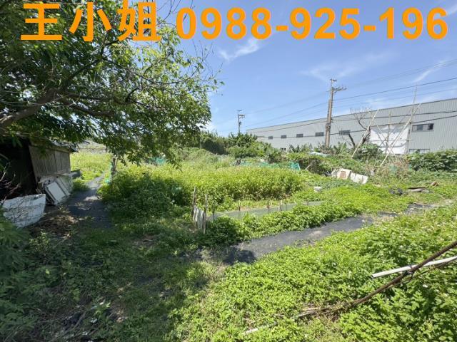 桃園大園農地-11