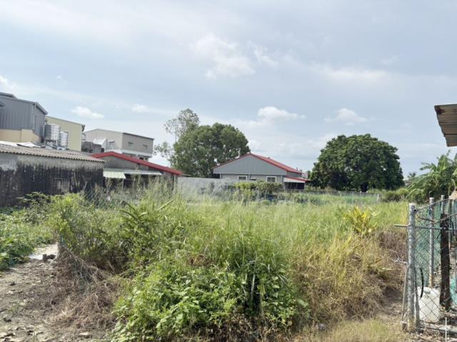 阿蓮建地-6