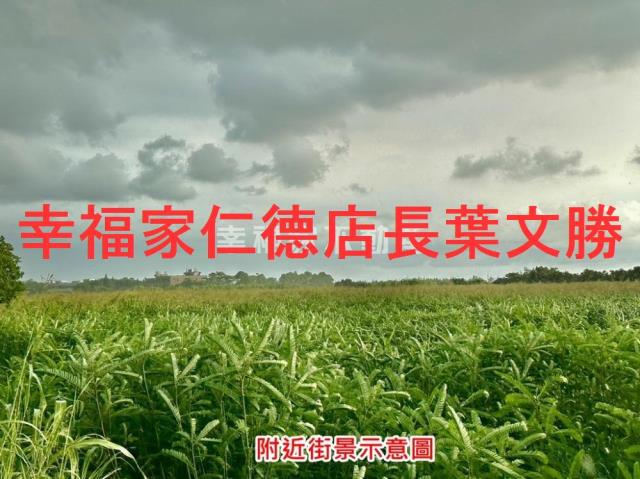 善化農地-4