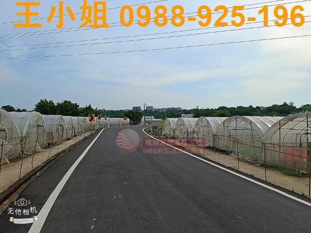 八德農地-7