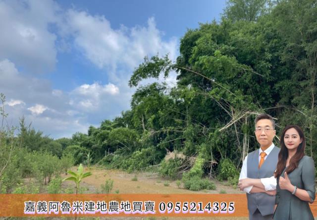 嘉義農地-1