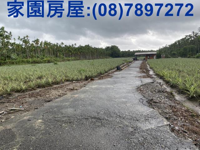 屏東農地-3