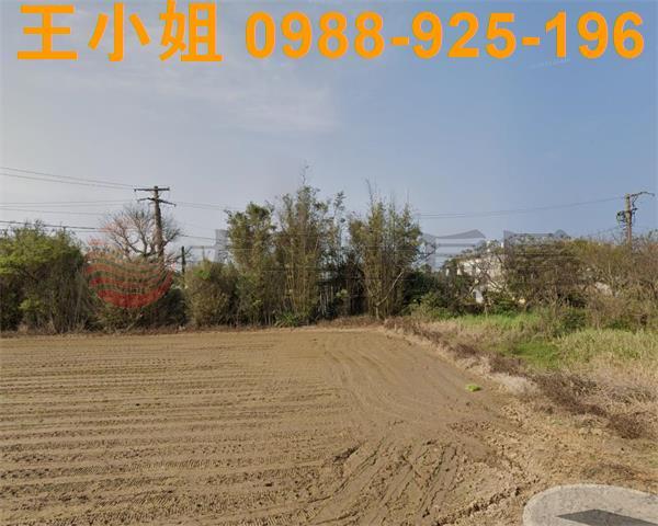 桃園建地-3