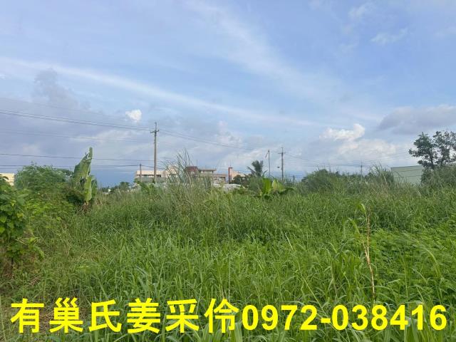 嘉義農地-1
