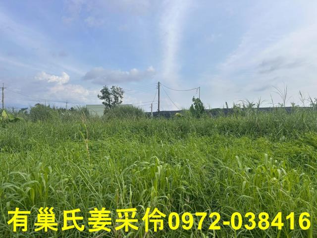 嘉義農地-5