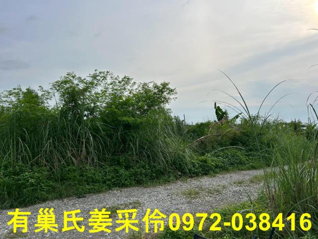 嘉義農地-6