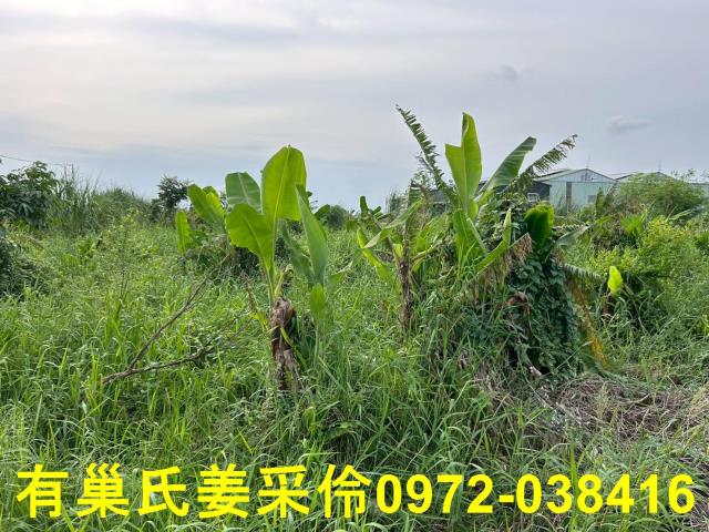 嘉義農地-7
