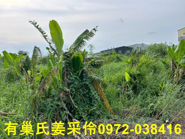 嘉義農地-8