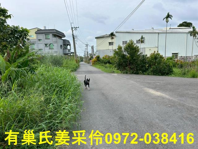 嘉義農地-9