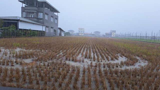 高雄農地-3