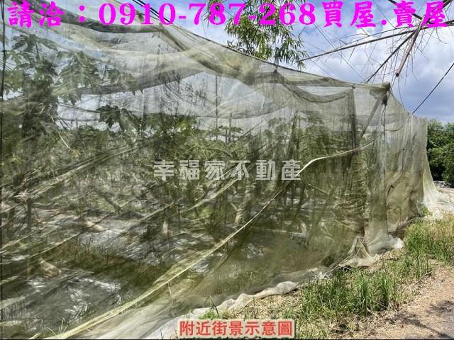 台南楠西農地-6